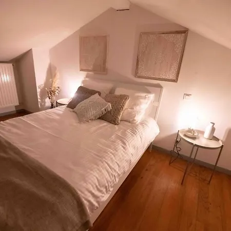 Duplex Typique Centre Lägenhet Bayonne