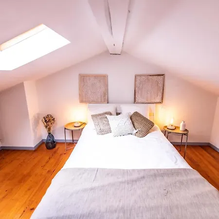 Duplex Typique Centre Apartment