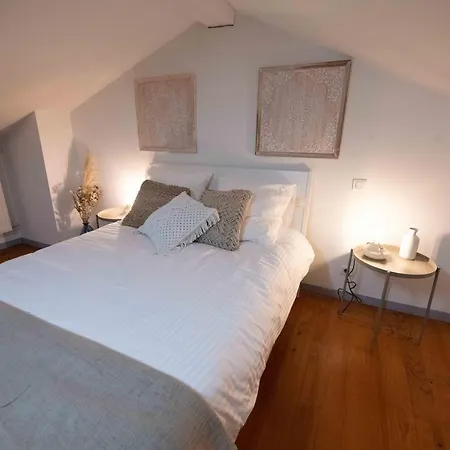 Duplex Typique Centre * Bayonne