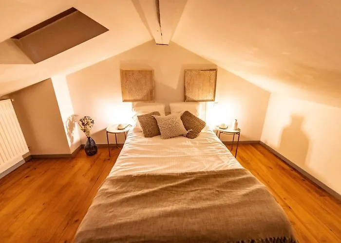 Duplex Typique Centre Appartement