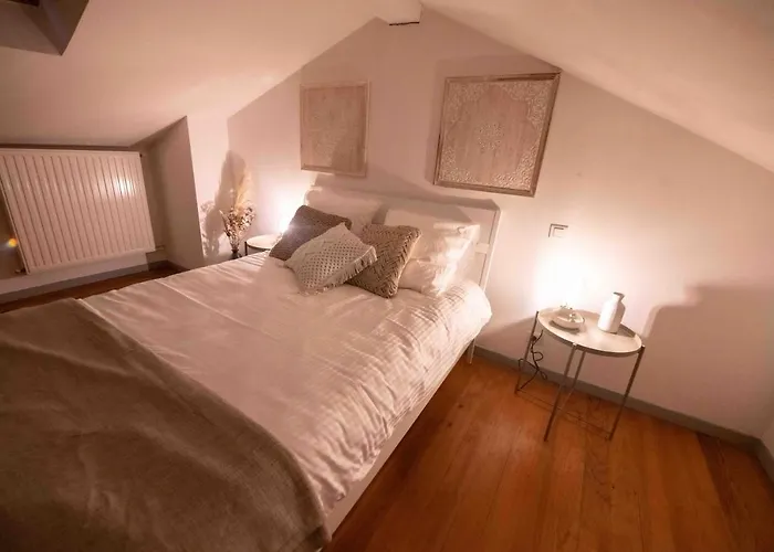 Duplex Typique Centre Appartement Bayonne