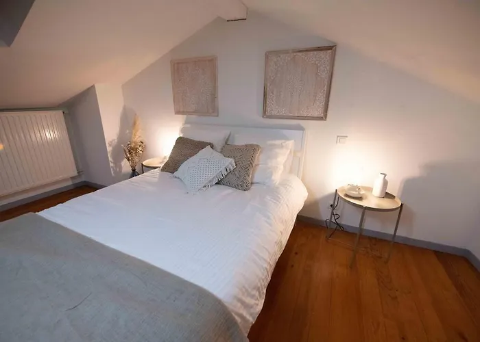 Duplex Typique Centre * 巴约讷